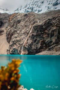 Gallery Thumbnail 8